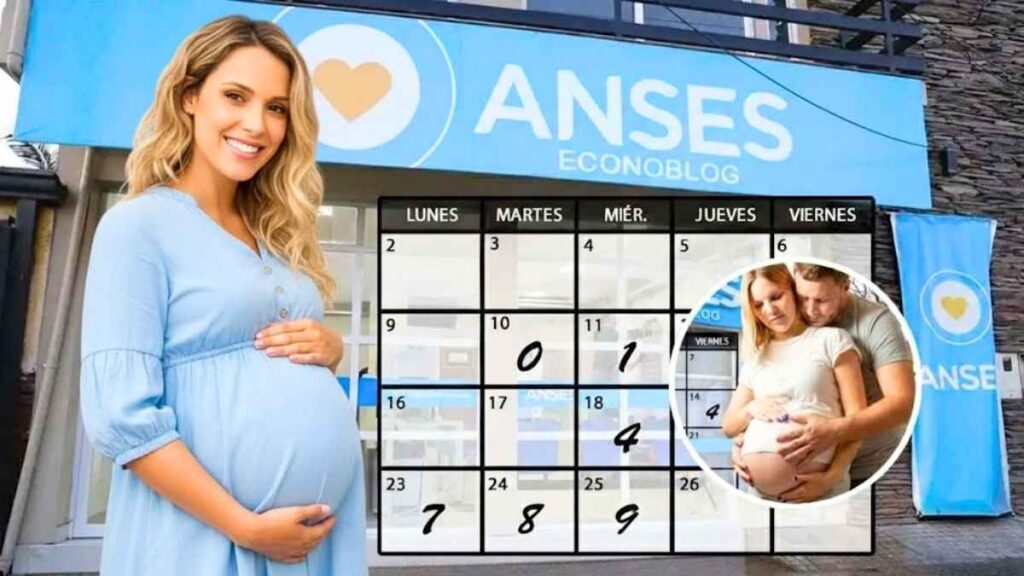 Cómo recibir pagos y bonos ANSES 2026 guía completa de beneficiarios