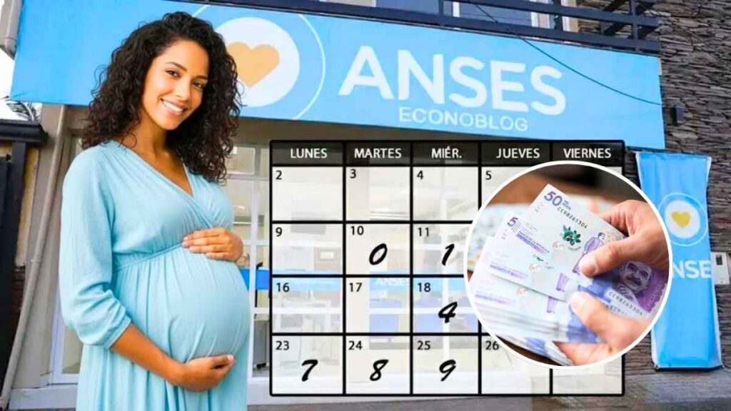 Calendario ANSES 2026 cómo acceder a pagos mensuales y cobrar bonos especiales confirmados